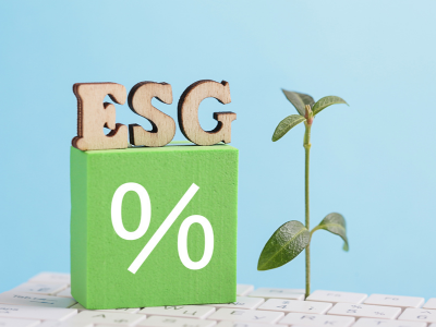 Navigating ESG Reporting